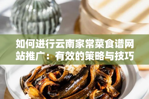 如何进行云南家常菜食谱网站推广：有效的策略与技巧