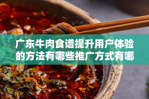 广东牛肉食谱提升用户体验的方法有哪些推广方式有哪些