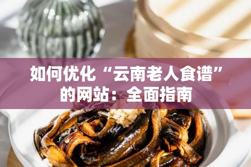 如何优化“云南老人食谱”的网站：全面指南