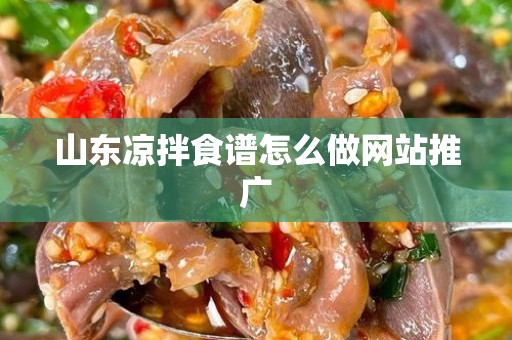 山东凉拌食谱怎么做网站推广