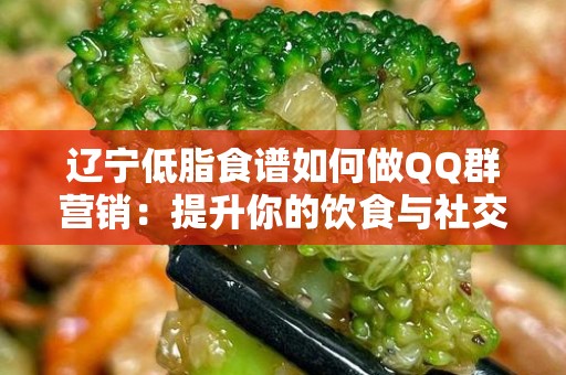 辽宁低脂食谱如何做QQ群营销：提升你的饮食与社交网络效果