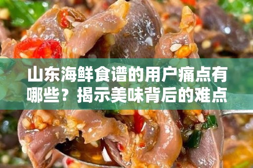 山东海鲜食谱的用户痛点有哪些？揭示美味背后的难点