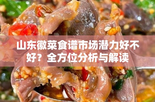 山东徽菜食谱市场潜力好不好？全方位分析与解读