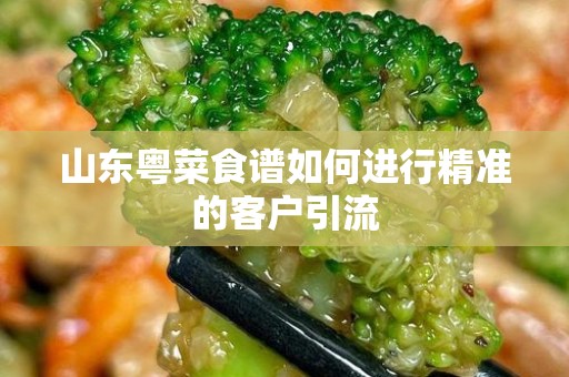 山东粤菜食谱如何进行精准的客户引流