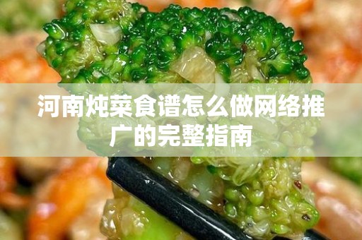 河南炖菜食谱怎么做网络推广的完整指南
