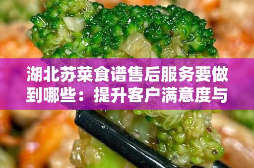 湖北苏菜食谱售后服务要做到哪些：提升客户满意度与品牌忠诚度