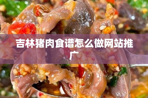 吉林猪肉食谱怎么做网站推广