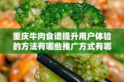 重庆牛肉食谱提升用户体验的方法有哪些推广方式有哪些