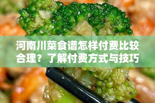 河南川菜食谱怎样付费比较合理？了解付费方式与技巧