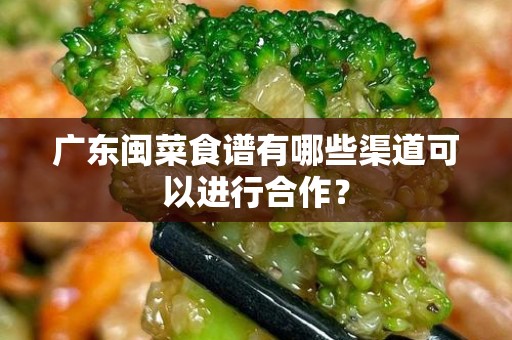 广东闽菜食谱有哪些渠道可以进行合作？