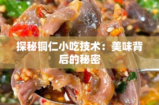 探秘铜仁小吃技术：美味背后的秘密