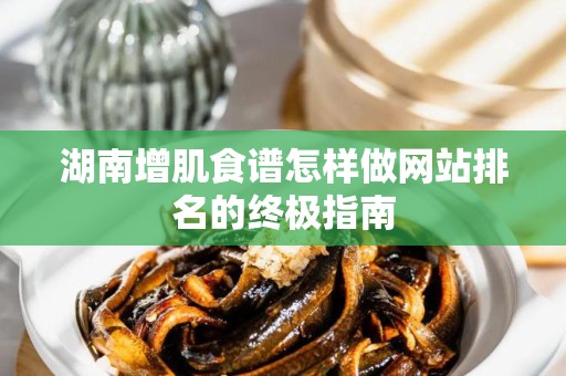湖南增肌食谱怎样做网站排名的终极指南