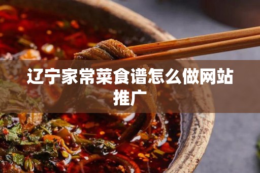 辽宁家常菜食谱怎么做网站推广