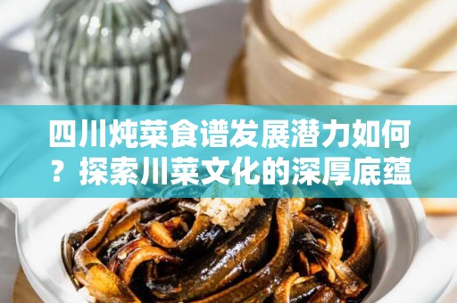四川炖菜食谱发展潜力如何？探索川菜文化的深厚底蕴