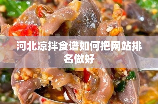 河北凉拌食谱如何把网站排名做好