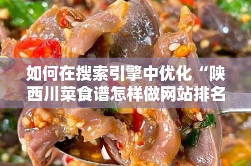如何在搜索引擎中优化“陕西川菜食谱怎样做网站排名”