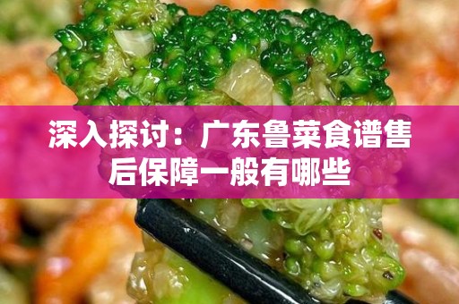深入探讨：广东鲁菜食谱售后保障一般有哪些