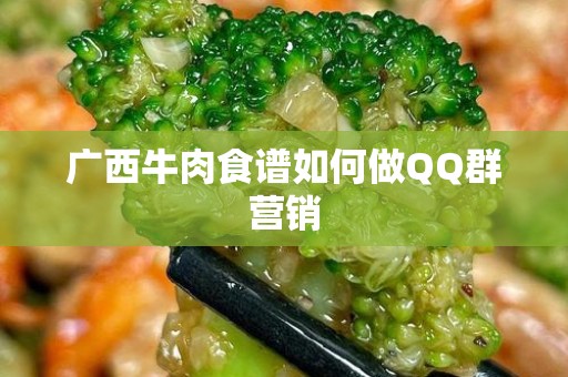 广西牛肉食谱如何做QQ群营销
