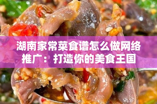 湖南家常菜食谱怎么做网络推广：打造你的美食王国
