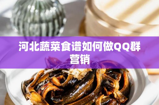 河北蔬菜食谱如何做QQ群营销