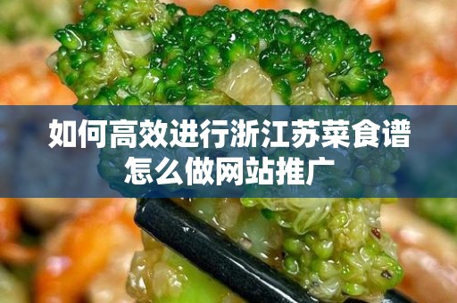 如何高效进行浙江苏菜食谱怎么做网站推广