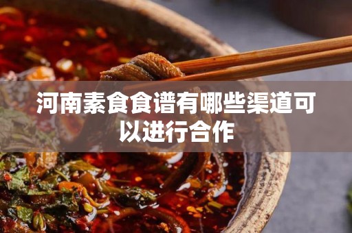 河南素食食谱有哪些渠道可以进行合作