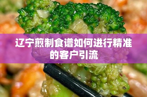 辽宁煎制食谱如何进行精准的客户引流