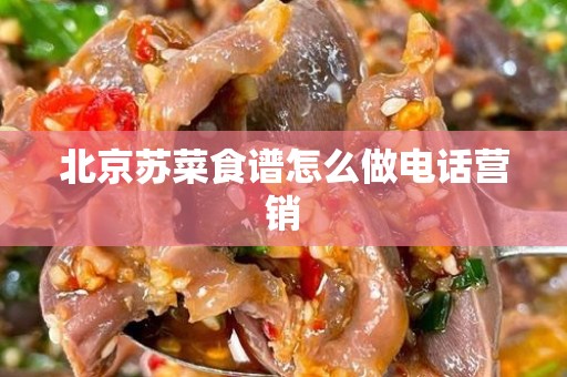 北京苏菜食谱怎么做电话营销