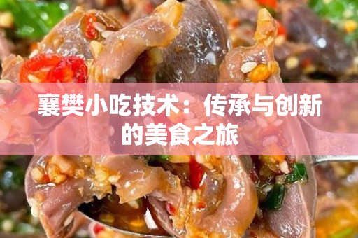 襄樊小吃技术：传承与创新的美食之旅