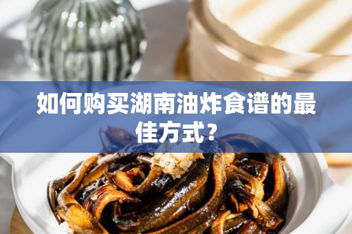如何购买湖南油炸食谱的最佳方式？