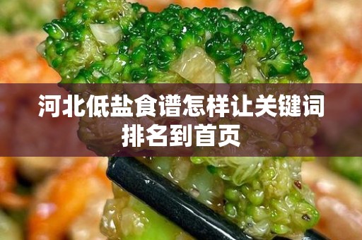 河北低盐食谱怎样让关键词排名到首页