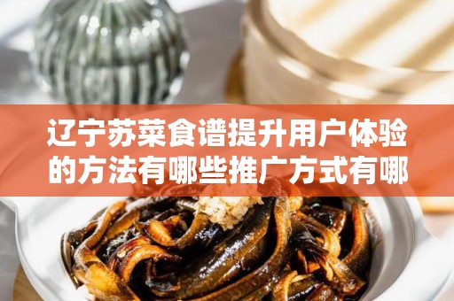 辽宁苏菜食谱提升用户体验的方法有哪些推广方式有哪些