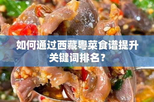 如何通过西藏粤菜食谱提升关键词排名？