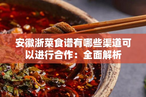 安徽浙菜食谱有哪些渠道可以进行合作：全面解析