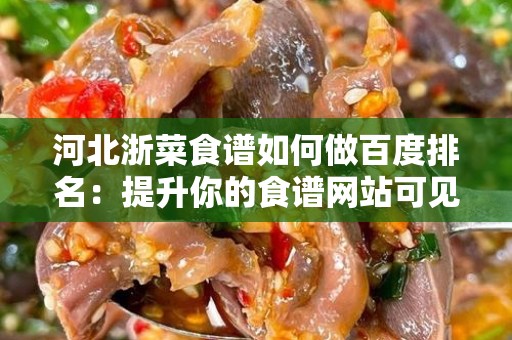 河北浙菜食谱如何做百度排名：提升你的食谱网站可见性