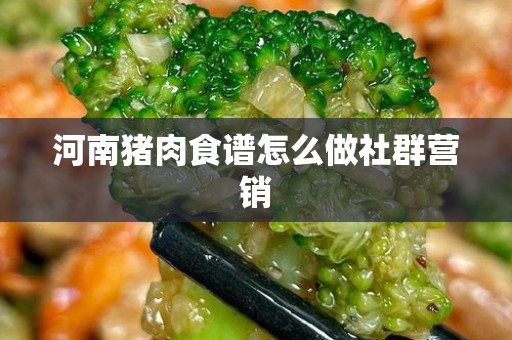 河南猪肉食谱怎么做社群营销