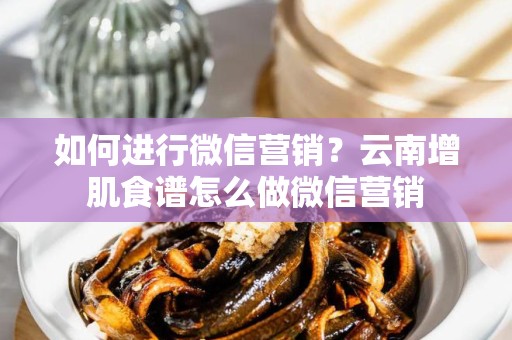 如何进行微信营销？云南增肌食谱怎么做微信营销