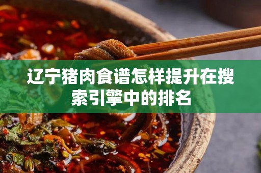 辽宁猪肉食谱怎样提升在搜索引擎中的排名