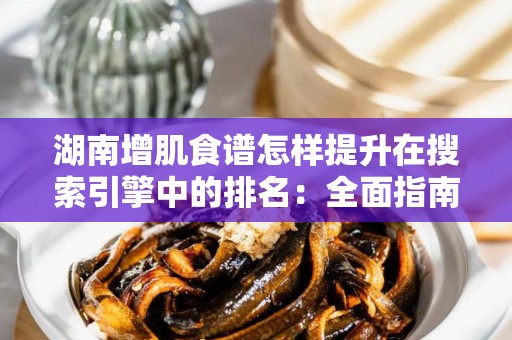 湖南增肌食谱怎样提升在搜索引擎中的排名：全面指南