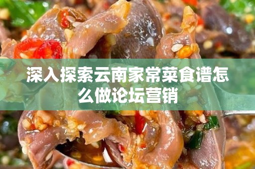 深入探索云南家常菜食谱怎么做论坛营销