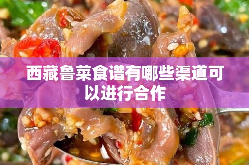 西藏鲁菜食谱有哪些渠道可以进行合作