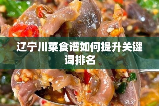 辽宁川菜食谱如何提升关键词排名