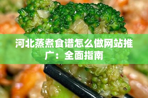 河北蒸煮食谱怎么做网站推广：全面指南