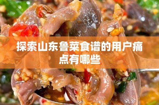 探索山东鲁菜食谱的用户痛点有哪些
