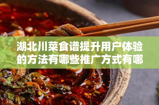 湖北川菜食谱提升用户体验的方法有哪些推广方式有哪些
