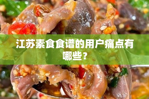 江苏素食食谱的用户痛点有哪些？