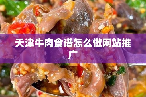 天津牛肉食谱怎么做网站推广
