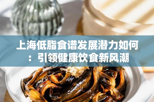 上海低脂食谱发展潜力如何：引领健康饮食新风潮