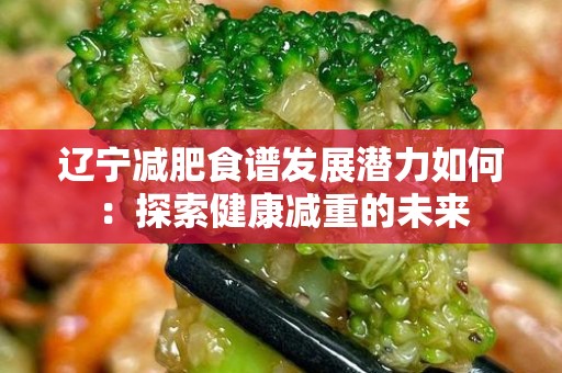 辽宁减肥食谱发展潜力如何：探索健康减重的未来
