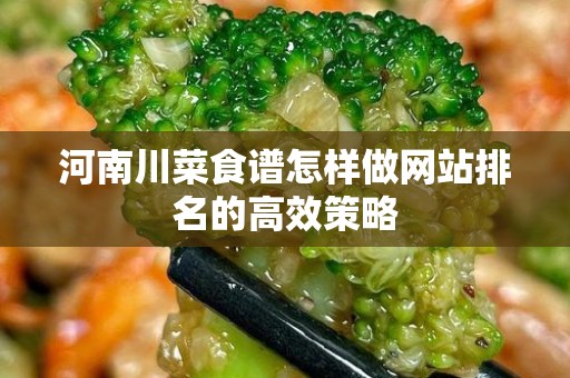 河南川菜食谱怎样做网站排名的高效策略